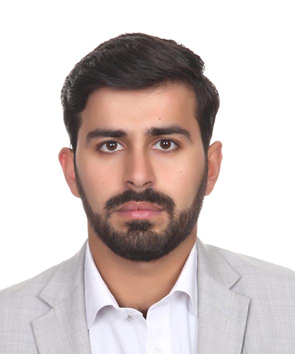 NAJEEB MIRWAIS NOOR MOHAMMAD